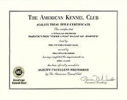 Agility Trial Title Certificate
